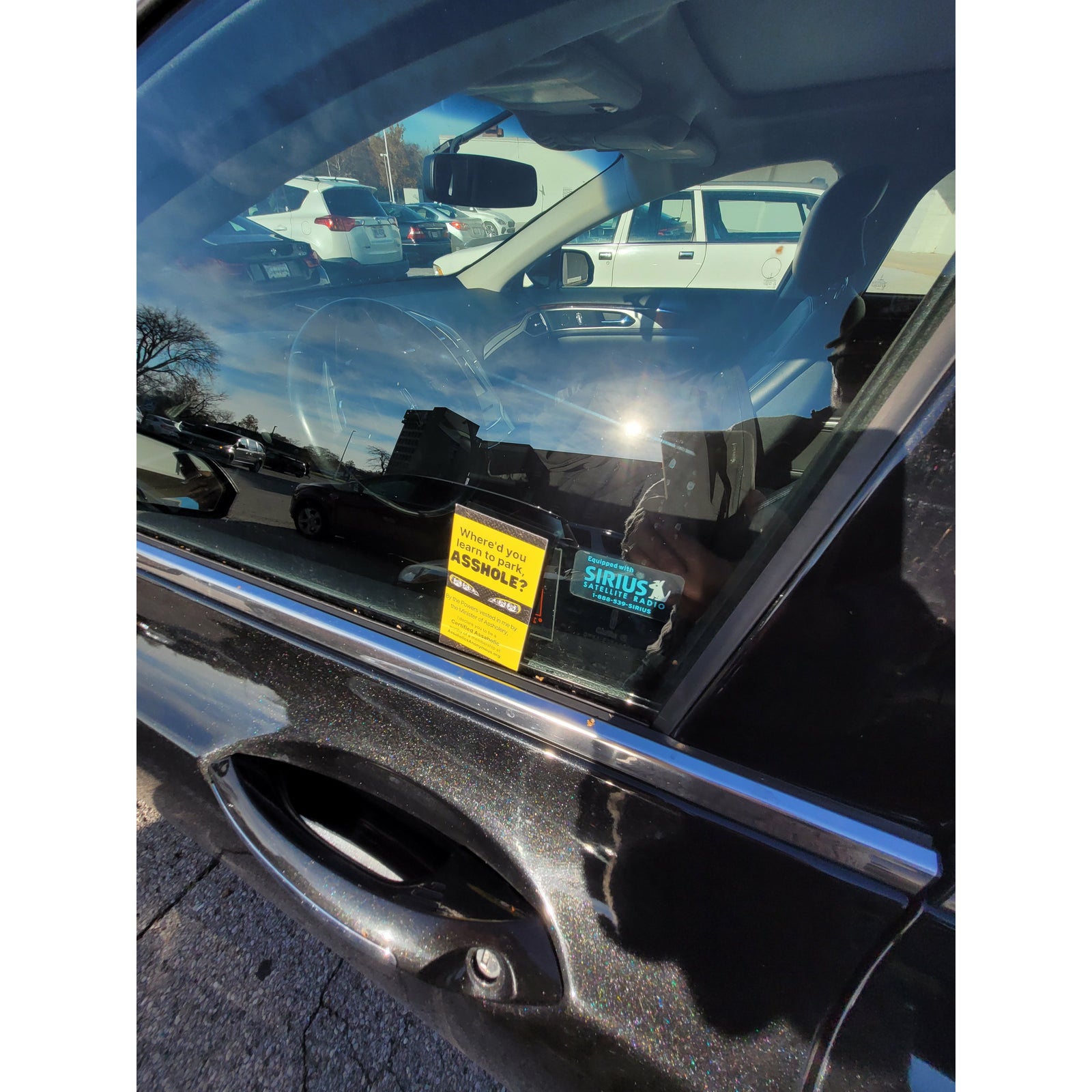Where'd You Learn to Park Asshole Cards