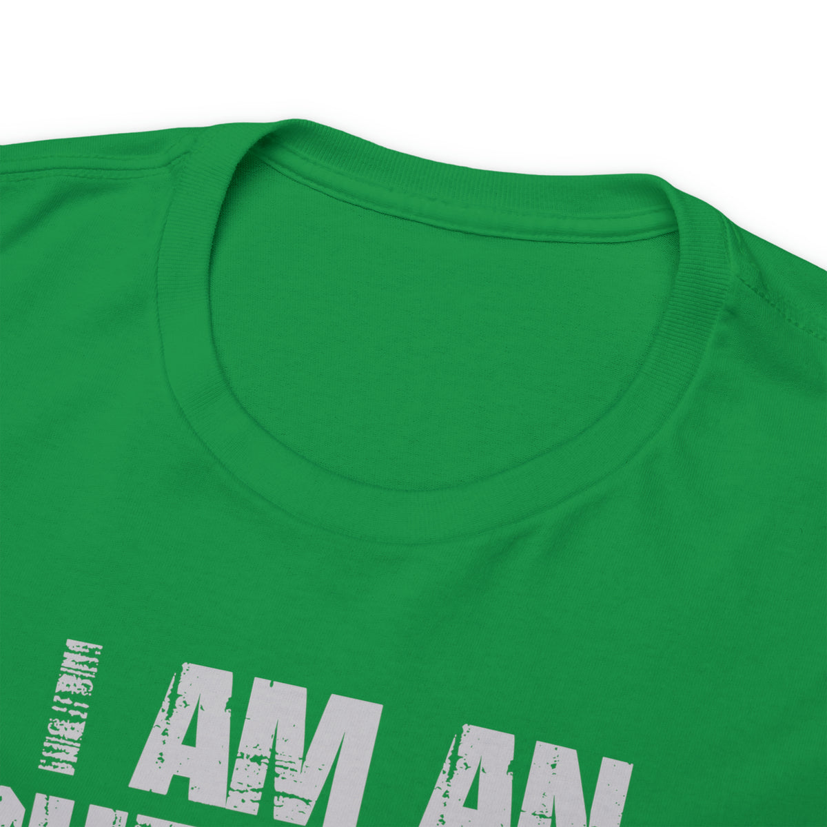 I Am an Insufferable Asshole - Try Me Tee