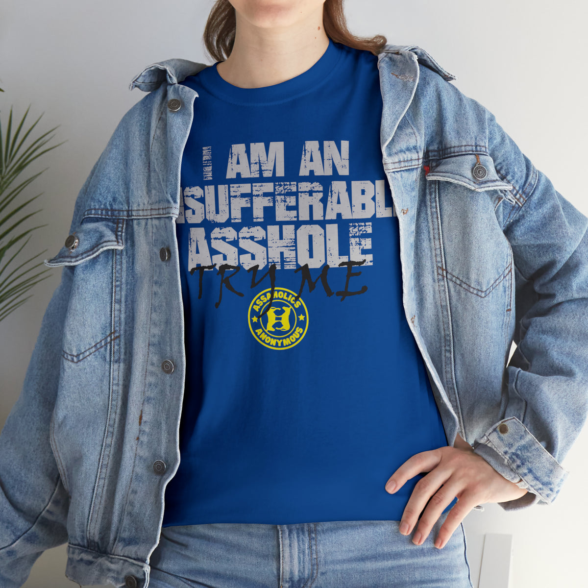 I Am an Insufferable Asshole - Try Me Tee