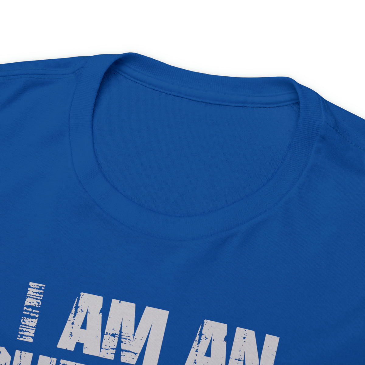 I Am an Insufferable Asshole - Try Me Tee