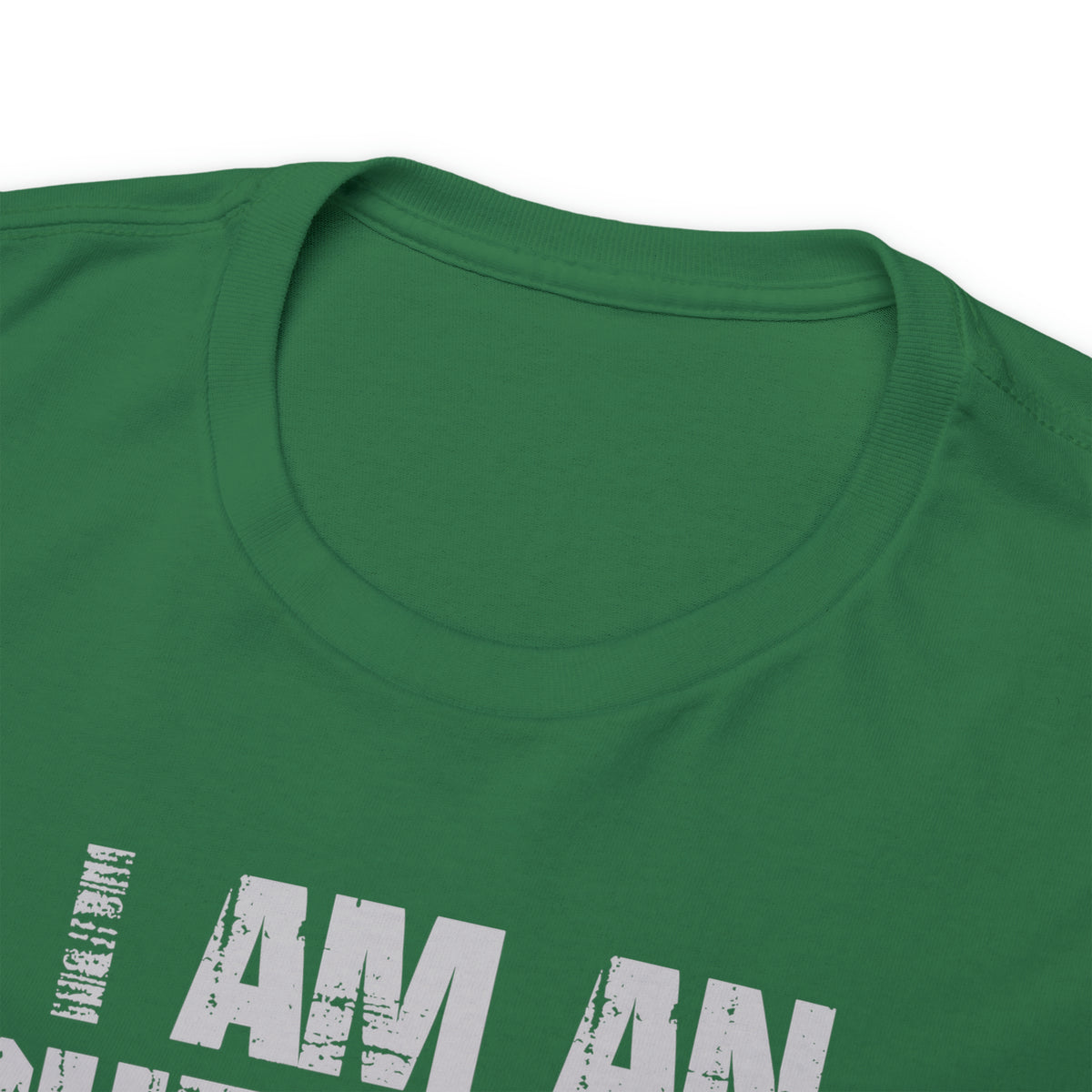 I Am an Insufferable Asshole - Try Me Tee