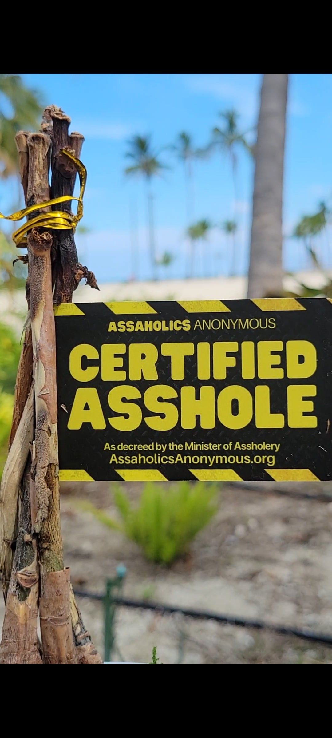 Your Funny, Loud, Plastic Certified Asshole Card