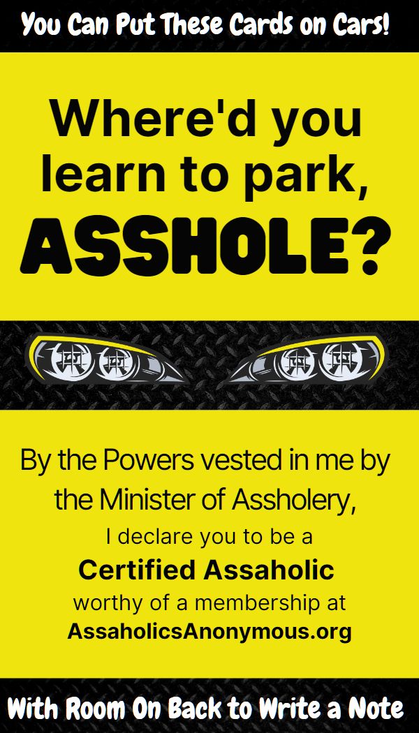 Where&#39;d You Learn to Park Asshole Cards